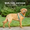 imagePetSafe 3 in 1 Dog Harness  No Pull Solution for Dogs  Reflective Dog Harness  Front DRing Clip Helps Stop Pulling  Comfortable Padded Straps  Top Handle Enhances Control  Plum  MediumTeal