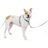 imagePetSafe 3 in 1 Dog Harness  No Pull Solution for Dogs  Reflective Dog Harness  Front DRing Clip Helps Stop Pulling  Comfortable Padded Straps  Top Handle Enhances Control  Plum  MediumTeal
