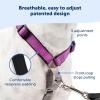 imagePetSafe 3 in 1 Dog Harness  No Pull Solution for Dogs  Reflective Dog Harness  Front DRing Clip Helps Stop Pulling  Comfortable Padded Straps  Top Handle Enhances Control  Plum  MediumTeal