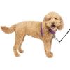 imagePetSafe 3 in 1 Dog Harness  No Pull Solution for Dogs  Reflective Dog Harness  Front DRing Clip Helps Stop Pulling  Comfortable Padded Straps  Top Handle Enhances Control  Plum  MediumPlum