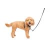 imagePetSafe 3 in 1 Dog Harness  No Pull Solution for Dogs  Reflective Dog Harness  Front DRing Clip Helps Stop Pulling  Comfortable Padded Straps  Top Handle Enhances Control  Plum  MediumBlack