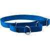 imagePetSafe Adjustable Martingale Collar  Only Tightens When Dogs Pull Prevents Slipping Out  Helps with Strong Pullers Increased Control  Alternative to Choke Collar  1quot Medium RedRoyal Blue
