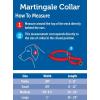 imagePetSafe Adjustable Martingale Collar  Only Tightens When Dogs Pull Prevents Slipping Out  Helps with Strong Pullers Increased Control  Alternative to Choke Collar  1quot Medium RedRed