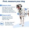 imagePetSafe Easy Walk Deluxe Dog Harness No Pull Dog Harness  Perfect for Leash ampamp Harness Training  Stops Pets from Pulling and Choking on Walks  Large AppleOcean