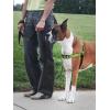 imagePetSafe Easy Walk Deluxe Dog Harness No Pull Dog Harness  Perfect for Leash ampamp Harness Training  Stops Pets from Pulling and Choking on Walks  Large AppleApple Green