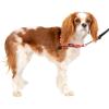 imagePetSafe Easy Walk Deluxe Dog Harness No Pull Dog Harness  Perfect for Leash ampamp Harness Training  Stops Pets from Pulling and Choking on Walks  Large AppleRose