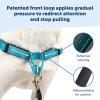 imagePetSafe Easy Walk Deluxe Dog Harness No Pull Dog Harness  Perfect for Leash ampamp Harness Training  Stops Pets from Pulling and Choking on Walks  Large AppleRose