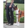 imagePetSafe Easy Walk Deluxe Dog Harness No Pull Dog Harness  Perfect for Leash ampamp Harness Training  Stops Pets from Pulling and Choking on Walks  Large AppleSteel