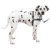 imagePetSafe Easy Walk Deluxe Dog Harness No Pull Dog Harness  Perfect for Leash ampamp Harness Training  Stops Pets from Pulling and Choking on Walks  Large AppleSteel