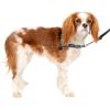 imagePetSafe Easy Walk Deluxe Dog Harness No Pull Dog Harness  Perfect for Leash ampamp Harness Training  Stops Pets from Pulling and Choking on Walks  Large AppleSteel