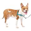 imagePetSafe Easy Walk Deluxe Dog Harness No Pull Dog Harness  Perfect for Leash ampamp Harness Training  Stops Pets from Pulling and Choking on Walks  Large AppleOcean