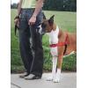 imagePetSafe Easy Walk Deluxe Dog Harness No Pull Dog Harness  Perfect for Leash ampamp Harness Training  Stops Pets from Pulling and Choking on Walks  Large AppleRose