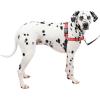 imagePetSafe Easy Walk Deluxe Dog Harness No Pull Dog Harness  Perfect for Leash ampamp Harness Training  Stops Pets from Pulling and Choking on Walks  Large AppleRose