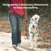 imagePetSafe Easy Walk Deluxe Dog Harness No Pull Dog Harness  Perfect for Leash ampamp Harness Training  Stops Pets from Pulling and Choking on Walks  Large AppleOcean