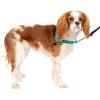 imagePetSafe Easy Walk Deluxe Dog Harness No Pull Dog Harness  Perfect for Leash ampamp Harness Training  Stops Pets from Pulling and Choking on Walks  Large AppleOcean