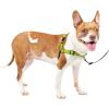 imagePetSafe Easy Walk Deluxe Dog Harness No Pull Dog Harness  Perfect for Leash ampamp Harness Training  Stops Pets from Pulling and Choking on Walks  Large AppleApple Green