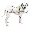 imagePetSafe Easy Walk Deluxe Dog Harness No Pull Dog Harness  Perfect for Leash ampamp Harness Training  Stops Pets from Pulling and Choking on Walks  Large AppleApple Green