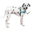 imagePetSafe Easy Walk Deluxe Dog Harness No Pull Dog Harness  Perfect for Leash ampamp Harness Training  Stops Pets from Pulling and Choking on Walks  Large AppleOcean