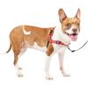 imagePetSafe Easy Walk Deluxe Dog Harness No Pull Dog Harness  Perfect for Leash ampamp Harness Training  Stops Pets from Pulling and Choking on Walks  Large AppleRose