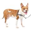 imagePetSafe Easy Walk Deluxe Dog Harness No Pull Dog Harness  Perfect for Leash ampamp Harness Training  Stops Pets from Pulling and Choking on Walks  Large AppleSteel