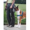 imagePetSafe Easy Walk Deluxe Dog Harness No Pull Dog Harness  Perfect for Leash ampamp Harness Training  Stops Pets from Pulling and Choking on Walks  Large AppleOcean