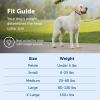 imagePetSafe Gentle Leader NoPull Head Collar for Dogs Dog Head Collar  The Ultimate Solution to Pulling Padded Nose Loop QuickSnap Neck Strap Dog Halter Large  Black