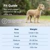 imagePetSafe Gentle Leader NoPull Head Collar for Dogs Dog Head Collar  The Ultimate Solution to Pulling Padded Nose Loop QuickSnap Neck Strap Dog Halter Medium  BlackBlack