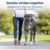 imagePetSafe Gentle Leader NoPull Head Collar for Dogs Dog Head Collar  The Ultimate Solution to Pulling Padded Nose Loop QuickSnap Neck Strap Dog Halter Medium  BlackCharcoal