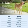 imagePetSafe Gentle Leader NoPull Head Collar for Dogs Dog Head Collar  The Ultimate Solution to Pulling Padded Nose Loop QuickSnap Neck Strap Dog Halter Medium  BlackFawn