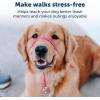 imagePetSafe Gentle Leader NoPull Head Collar for Dogs Dog Head Collar  The Ultimate Solution to Pulling Padded Nose Loop QuickSnap Neck Strap Dog Halter Medium  BlackBlack