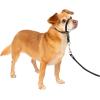 imagePetSafe Gentle Leader NoPull Head Collar for Dogs Dog Head Collar  The Ultimate Solution to Pulling Padded Nose Loop QuickSnap Neck Strap Dog Halter Medium  BlackBlack