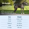 imagePetSafe Gentle Leader NoPull Head Collar for Dogs Dog Head Collar  The Ultimate Solution to Pulling Padded Nose Loop QuickSnap Neck Strap Dog Halter Medium  BlackBlack