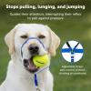 imagePetSafe Gentle Leader NoPull Head Collar for Dogs Dog Head Collar  The Ultimate Solution to Pulling Padded Nose Loop QuickSnap Neck Strap Dog Halter Medium  BlackRoyal Blue