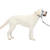 imagePetSafe Gentle Leader NoPull Head Collar for Dogs Dog Head Collar  The Ultimate Solution to Pulling Padded Nose Loop QuickSnap Neck Strap Dog Halter Medium  BlackRoyal Blue