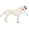 imagePetSafe Gentle Leader NoPull Head Collar for Dogs Dog Head Collar  The Ultimate Solution to Pulling Padded Nose Loop QuickSnap Neck Strap Dog Halter Medium  BlackRed