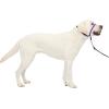 imagePetSafe Gentle Leader NoPull Head Collar for Dogs Dog Head Collar  The Ultimate Solution to Pulling Padded Nose Loop QuickSnap Neck Strap Dog Halter Medium  BlackDeep Purple