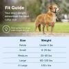 imagePetSafe Gentle Leader NoPull Head Collar for Dogs Dog Head Collar  The Ultimate Solution to Pulling Padded Nose Loop QuickSnap Neck Strap Dog Halter Medium  BlackBlack