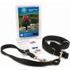 imagePetSafe Hands Free Adjustable Dog Leash  Great for Running Jogging Walking and Hiking  Wear Around The Waist  Black