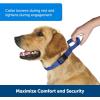 imagePetSafe Martingale Dog Collar with QuickSnap Buckle  Small 34 Inch Red