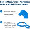 imagePetSafe Martingale Dog Collar with QuickSnap Buckle  Small 34 Inch Red