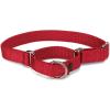 imagePetSafe Adjustable Martingale Collar  Only Tightens When Dogs Pull Prevents Slipping Out  Helps with Strong Pullers Increased Control  Alternative to Choke Collar  1quot Medium RedRed