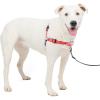 imagePetSafe Easy Walk Deluxe Dog Harness No Pull Dog Harness  Perfect for Leash ampamp Harness Training  Stops Pets from Pulling and Choking on Walks  Large AppleRose