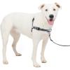 imagePetSafe Easy Walk Deluxe Dog Harness No Pull Dog Harness  Perfect for Leash ampamp Harness Training  Stops Pets from Pulling and Choking on Walks  Large AppleSteel
