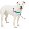 imagePetSafe Easy Walk Deluxe Dog Harness No Pull Dog Harness  Perfect for Leash ampamp Harness Training  Stops Pets from Pulling and Choking on Walks  Large AppleOcean