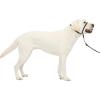 imagePetSafe Gentle Leader NoPull Head Collar for Dogs Dog Head Collar  The Ultimate Solution to Pulling Padded Nose Loop QuickSnap Neck Strap Dog Halter Large  Black