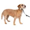 imagePetSafe Gentle Leader NoPull Head Collar for Dogs Dog Head Collar  The Ultimate Solution to Pulling Padded Nose Loop QuickSnap Neck Strap Dog Halter Medium  BlackCharcoal