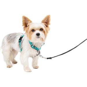 imagePetSafe 3 in 1 Dog Harness  No Pull Solution for Dogs  Reflective Dog Harness  Front DRing Clip Helps Stop Pulling  Comfortable Padded Straps  Top Handle Enhances Control  Plum  MediumTeal