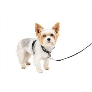 imagePetSafe 3 in 1 Dog Harness  No Pull Solution for Dogs  Reflective Dog Harness  Front DRing Clip Helps Stop Pulling  Comfortable Padded Straps  Top Handle Enhances Control  Plum  MediumBlack