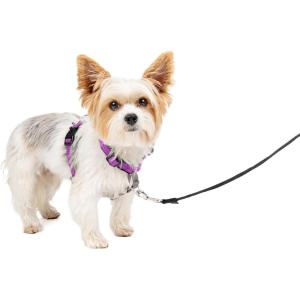 imagePetSafe 3 in 1 Dog Harness  No Pull Solution for Dogs  Reflective Dog Harness  Front DRing Clip Helps Stop Pulling  Comfortable Padded Straps  Top Handle Enhances Control  Plum  MediumPlum