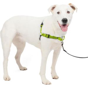 imagePetSafe Easy Walk Deluxe Dog Harness No Pull Dog Harness  Perfect for Leash ampamp Harness Training  Stops Pets from Pulling and Choking on Walks  Large AppleApple Green